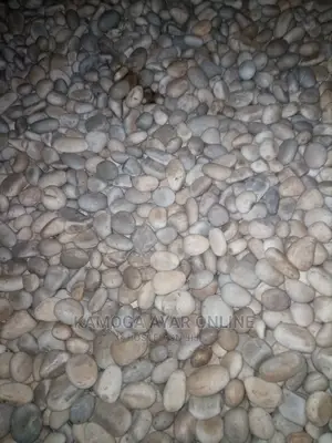 White Stones/Pebbles