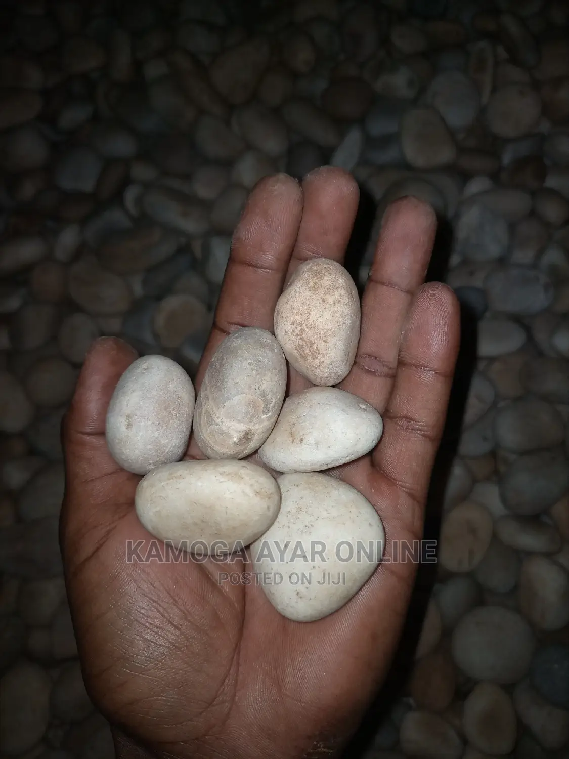 White Stones/Pebbles