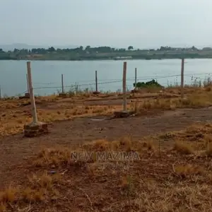 Full Acre Measuring Direct From the Lake on Quicksale Titled
