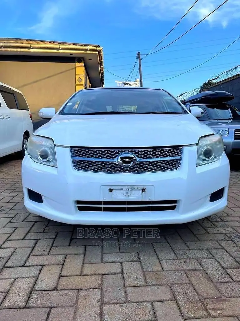 Toyota Corolla Fielder 2008 White