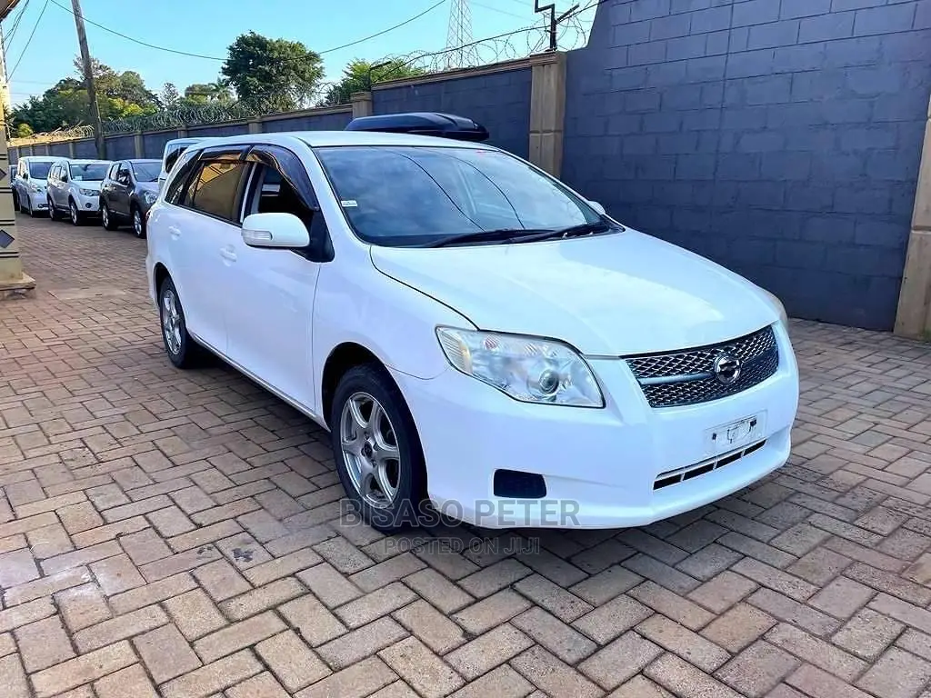 Toyota Corolla Fielder 2008 White