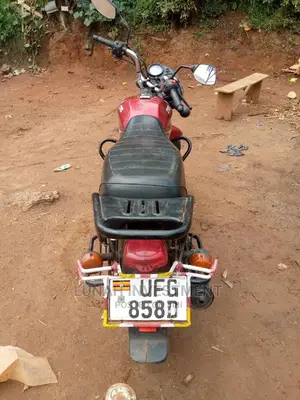 TVS 2022 Pink