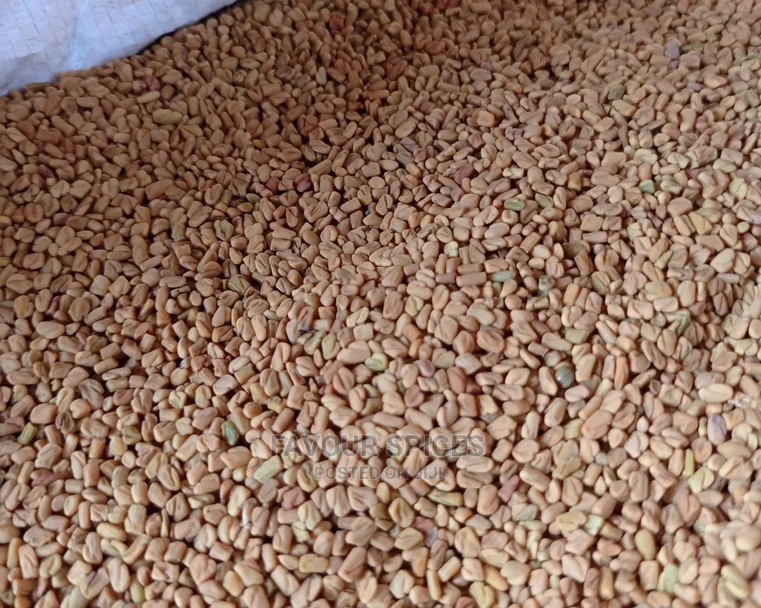 Fenugreek Seeds and Powder
