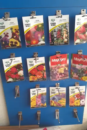 FI Flower Seeds