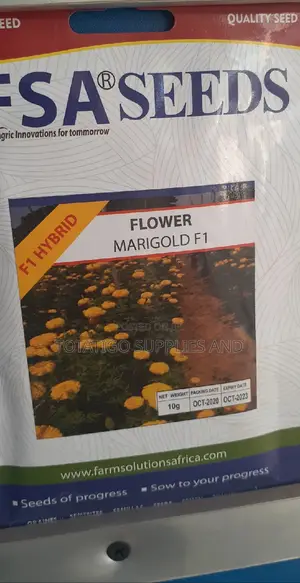 Marigold F1 Yellow Flower Seeds