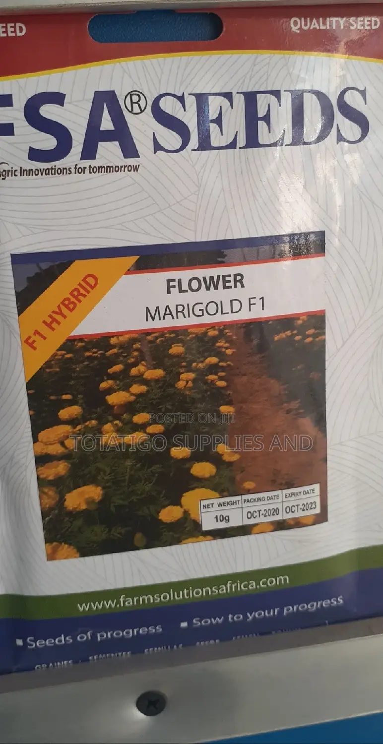 Marigold F1 Yellow Flower Seeds