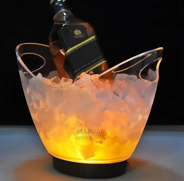 Night Club LED Bear Bucket