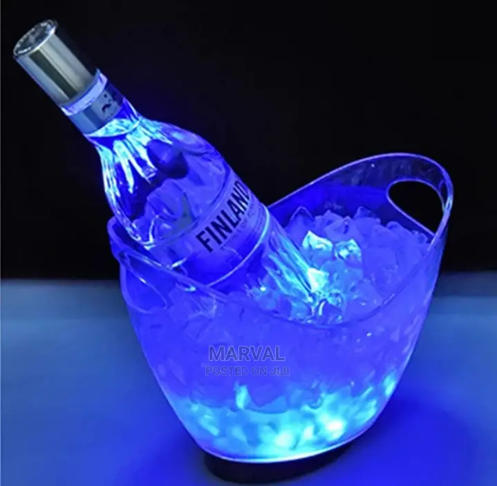 Night Club LED Bear Bucket