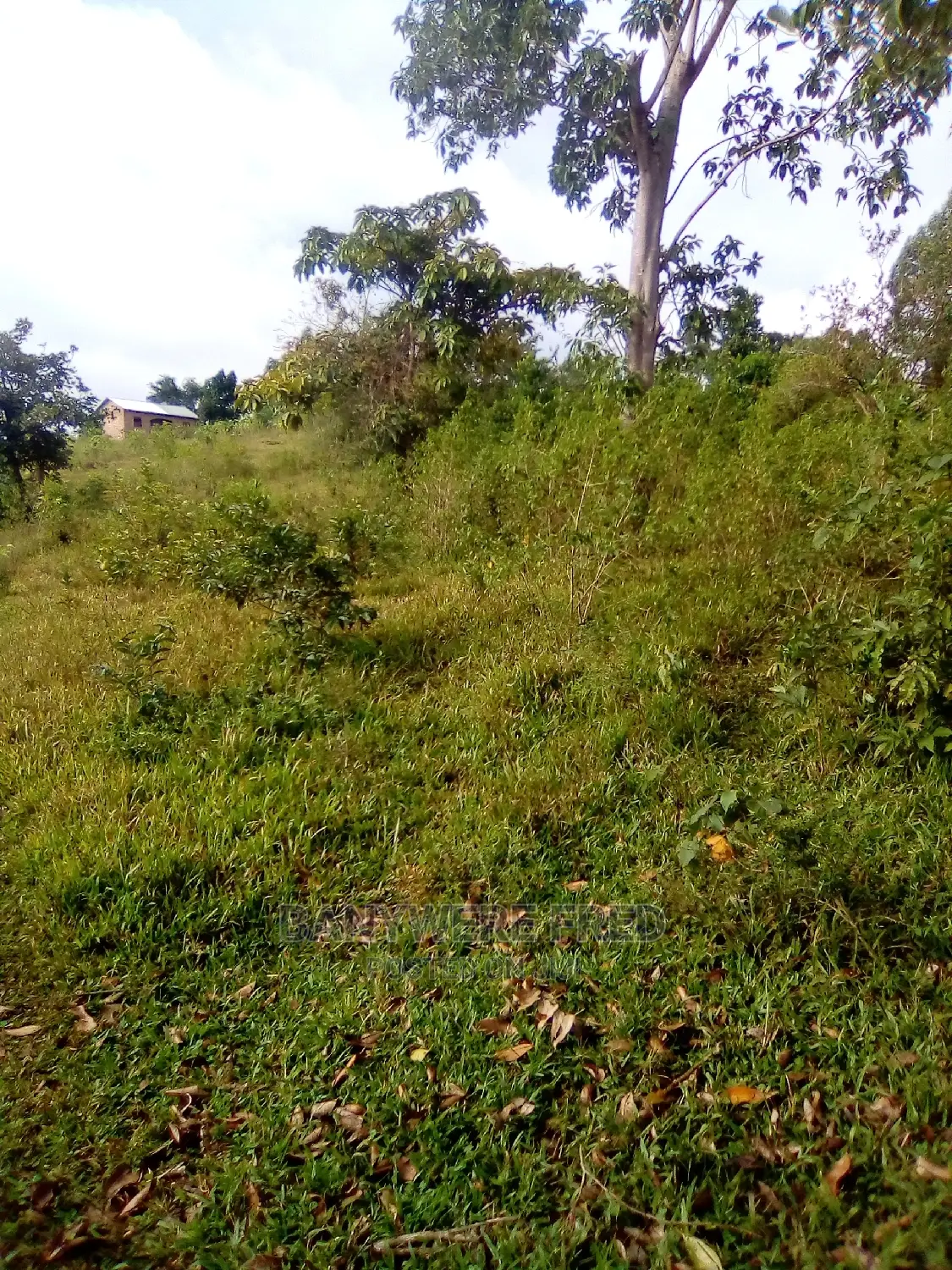 7acres of Farmland for Sale in Nagojje