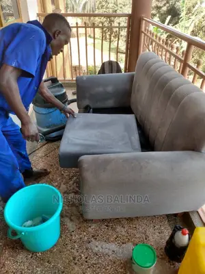 Top Class of Sofa Cleaning in Progress