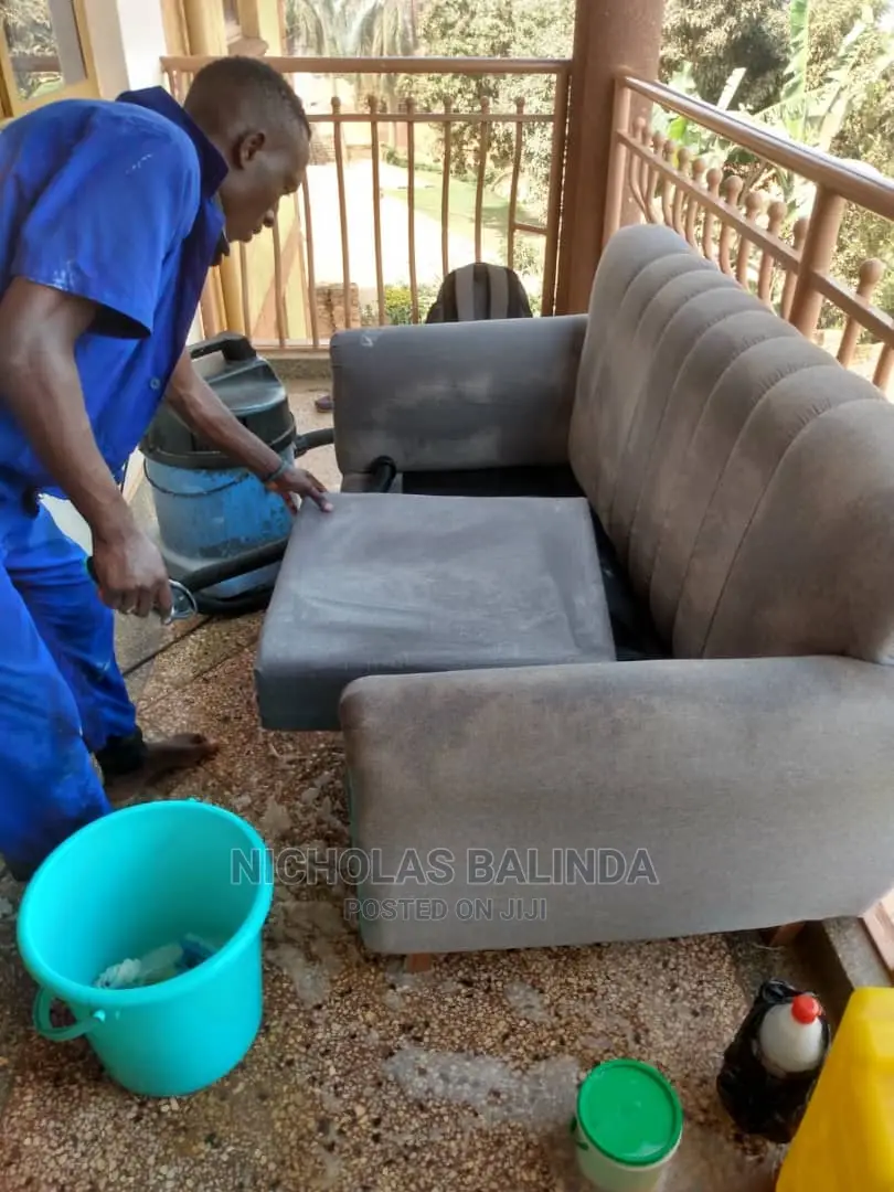 Top Class of Sofa Cleaning in Progress