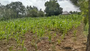 Residential Plot