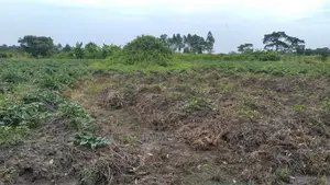 Farmland for Sale