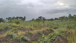 Farmland for Sale