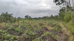 Farmland for Sale