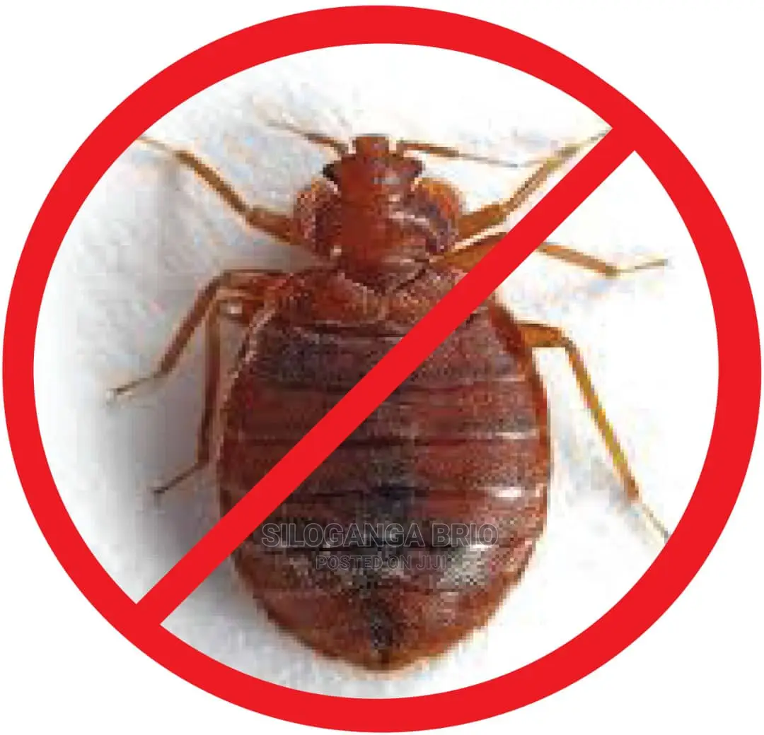 No Smell Bedbug Fumigation