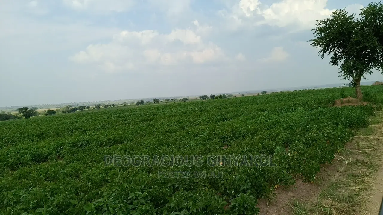 Fertile Farmland for Sale in Northern Uganda