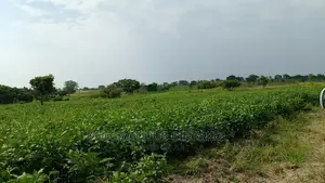 Fertile Farmland for Sale in Northern Uganda