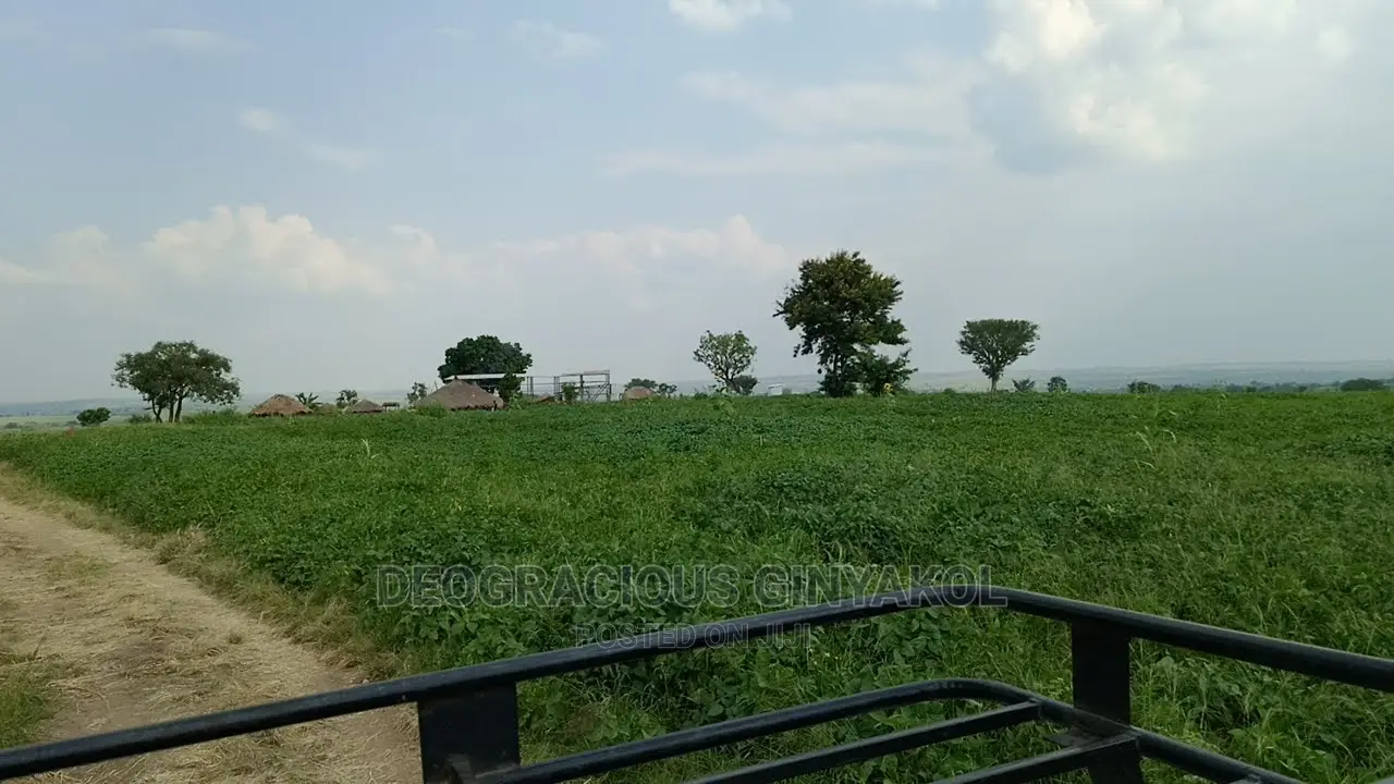Fertile Farmland for Sale in Northern Uganda