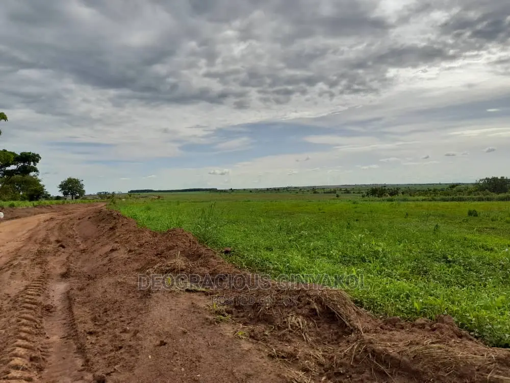 Fertile Farmland for Sale in Northern Uganda