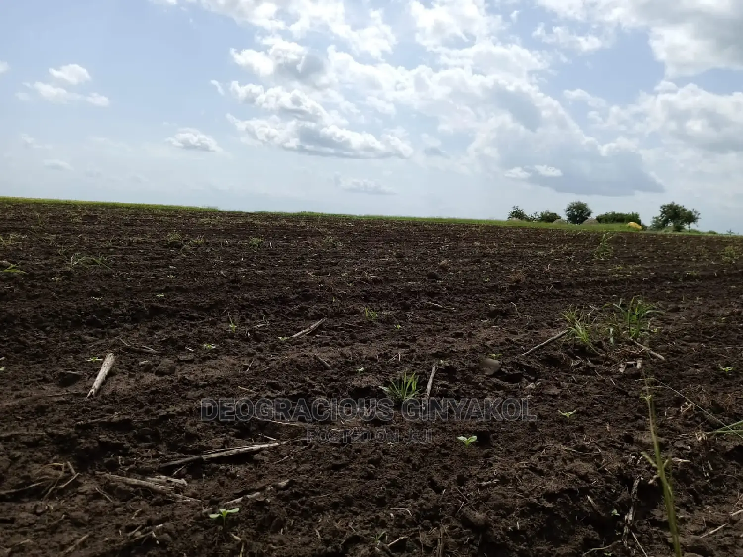 Fertile Farmland for Sale in Northern Uganda