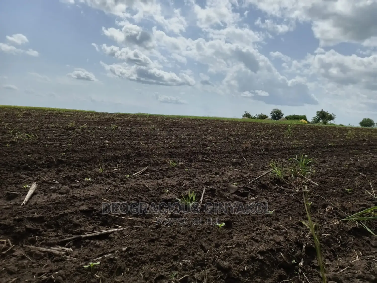 Fertile Farmland for Sale in Northern Uganda