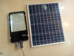 100w Solar Street Light or Solar Security W/T Separate Panel