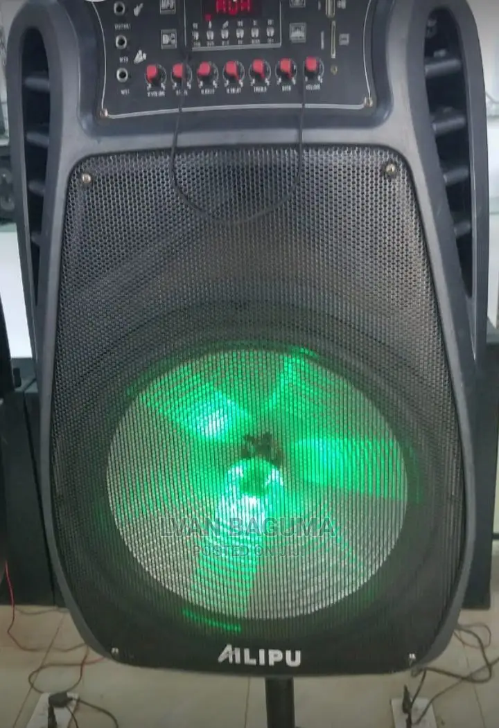 Ailipu Amplified Sound Loud Speaker System