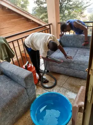 Have You Tried Our Sofa Cleaning Book Now for the Service