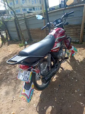 New Autodex 2019 Red