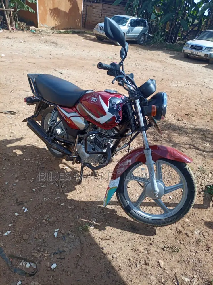 New Autodex 2019 Red