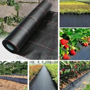 PP Woven Weed and Anti Grass Landscape Fabric(Cotton Coated)