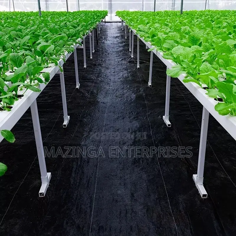 PP Woven Weed and Anti Grass Landscape Fabric(Cotton Coated)