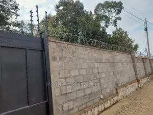 Security Fencing, Electric Fence