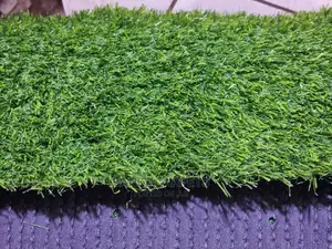 Artificial Grass