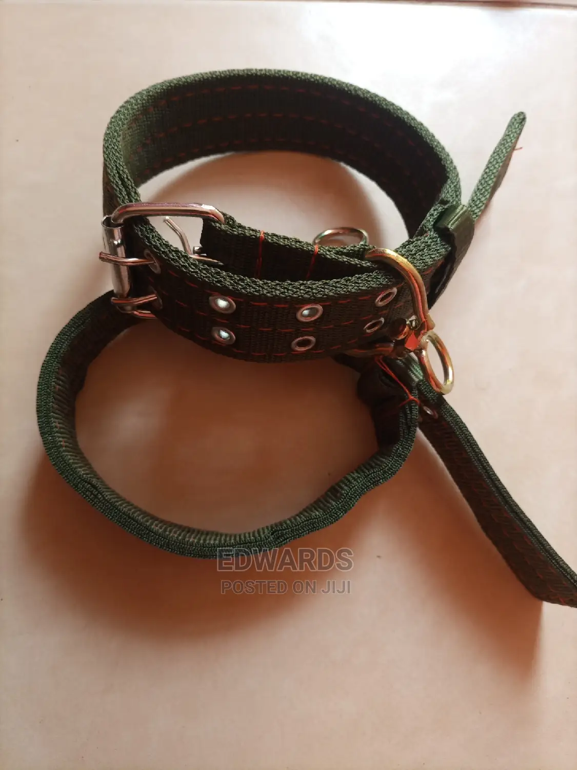 Green Dog Collar 3
