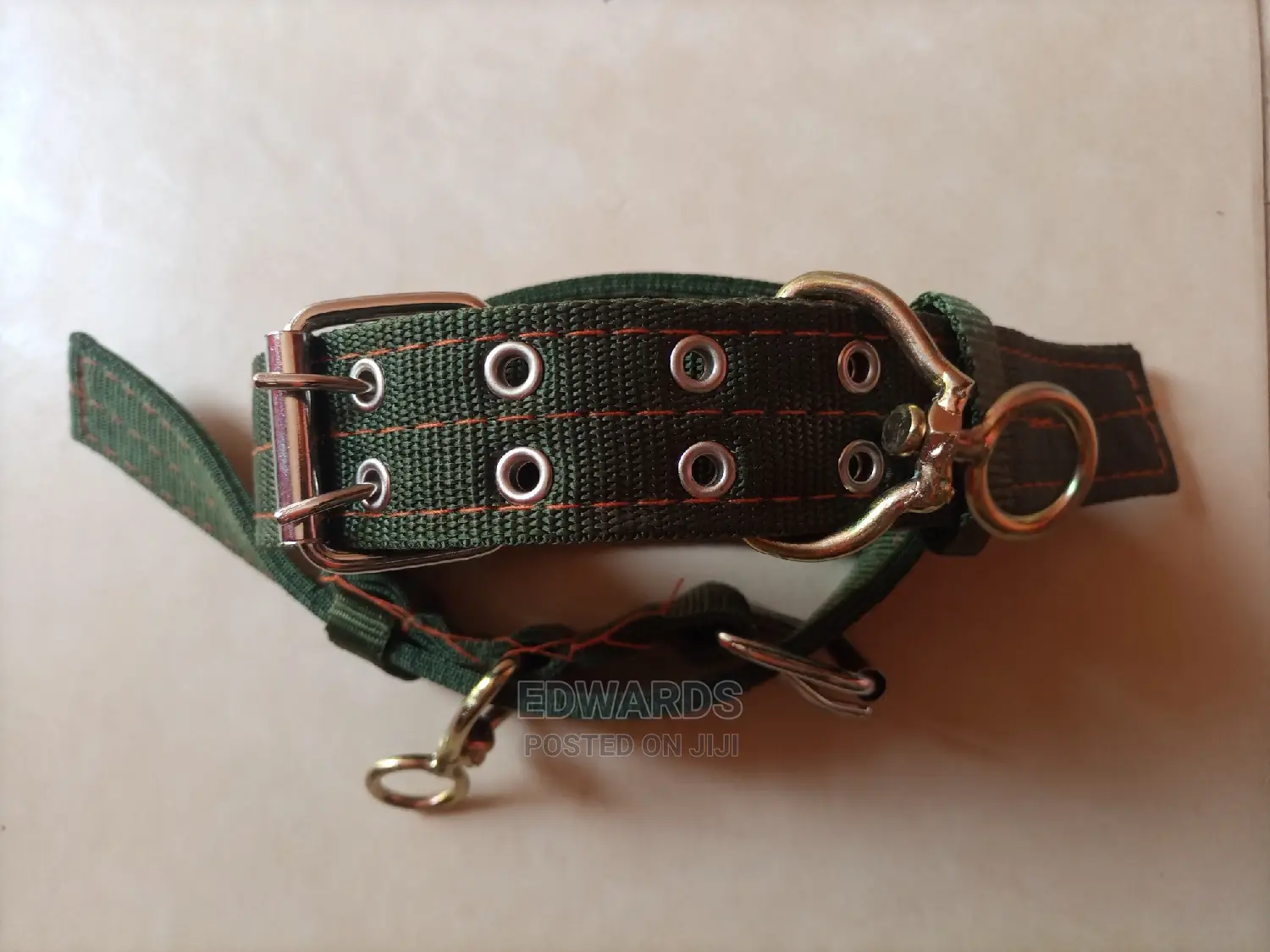 Green Dog Collars 4