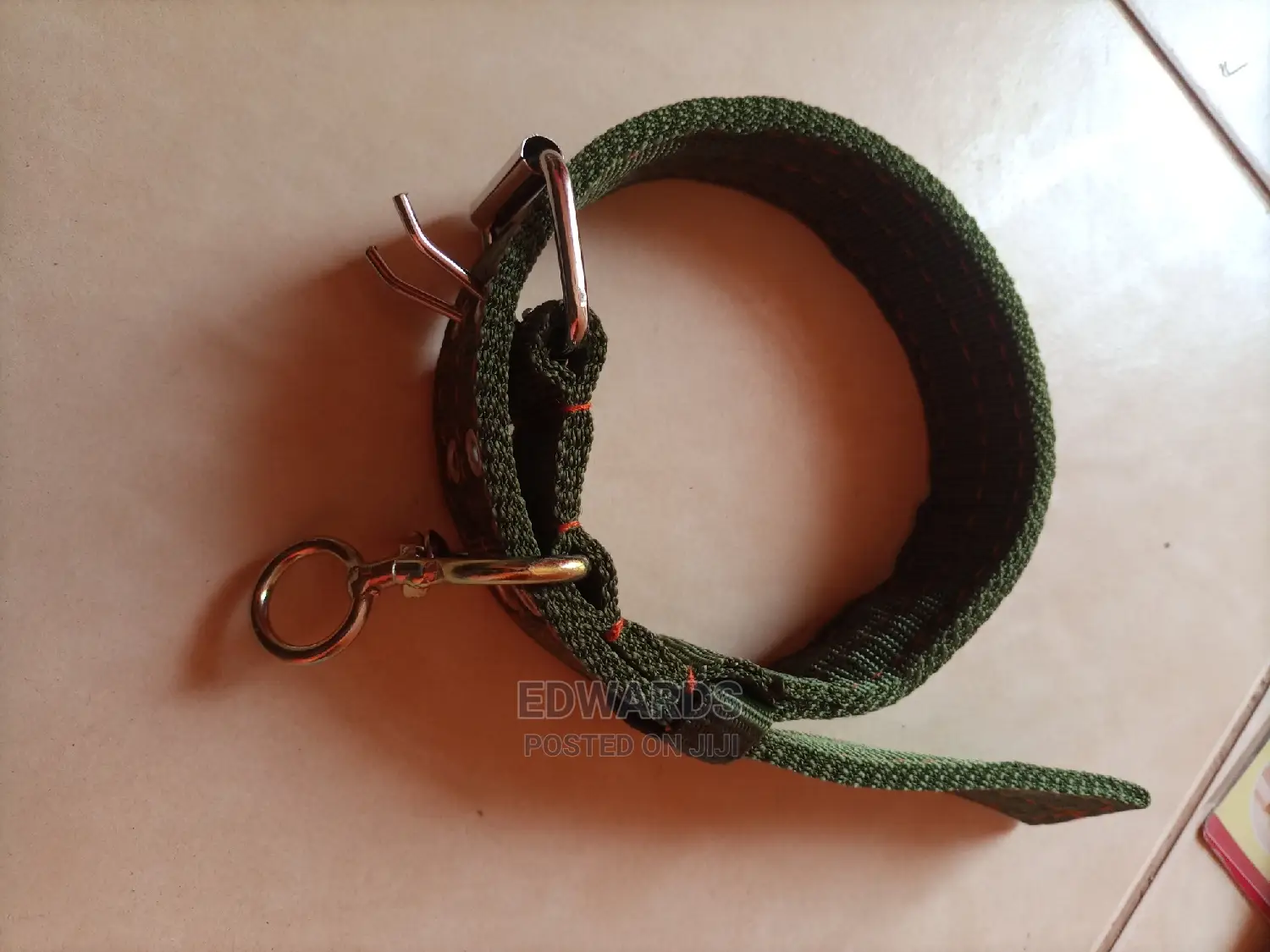 Green Dog Collars 4