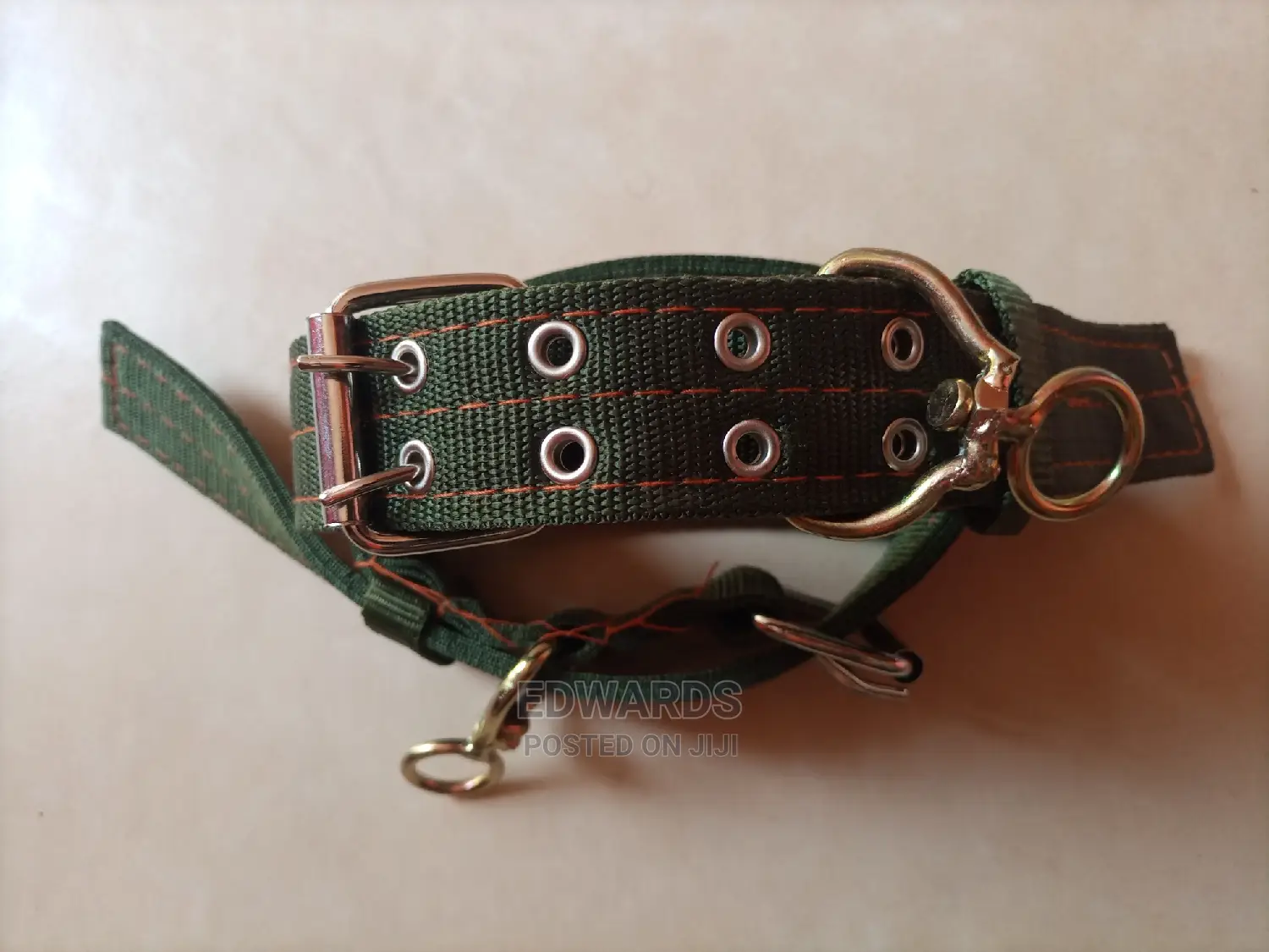 Green Dog Collars 4