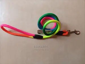 Dog Leashes One
