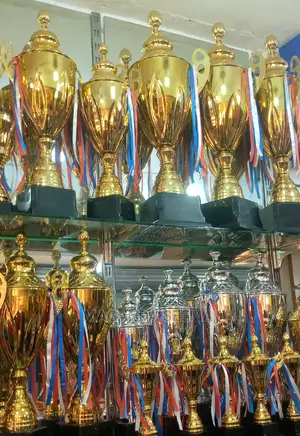 Golden Trophy