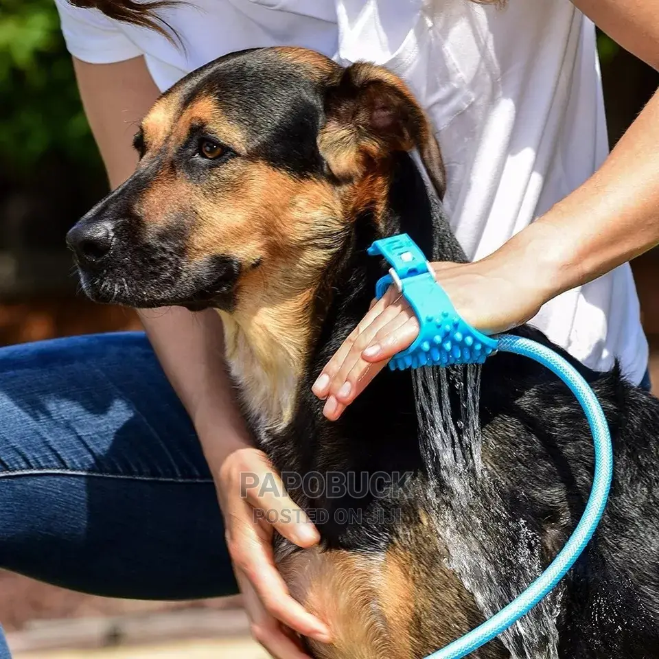 Dog Bath Brush Sprayer and Scrubber