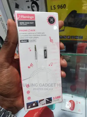 Pin to iPhone Audio Cable
