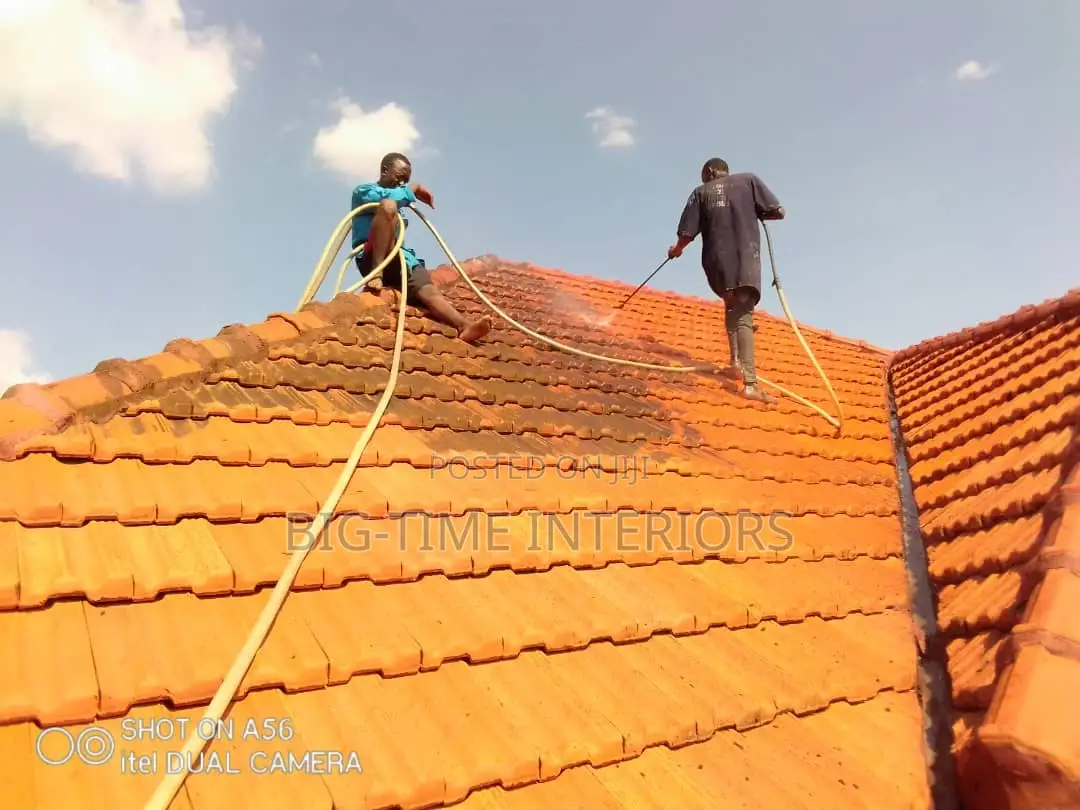 Roof Cleaning Services