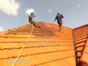 Roof Cleaning Services