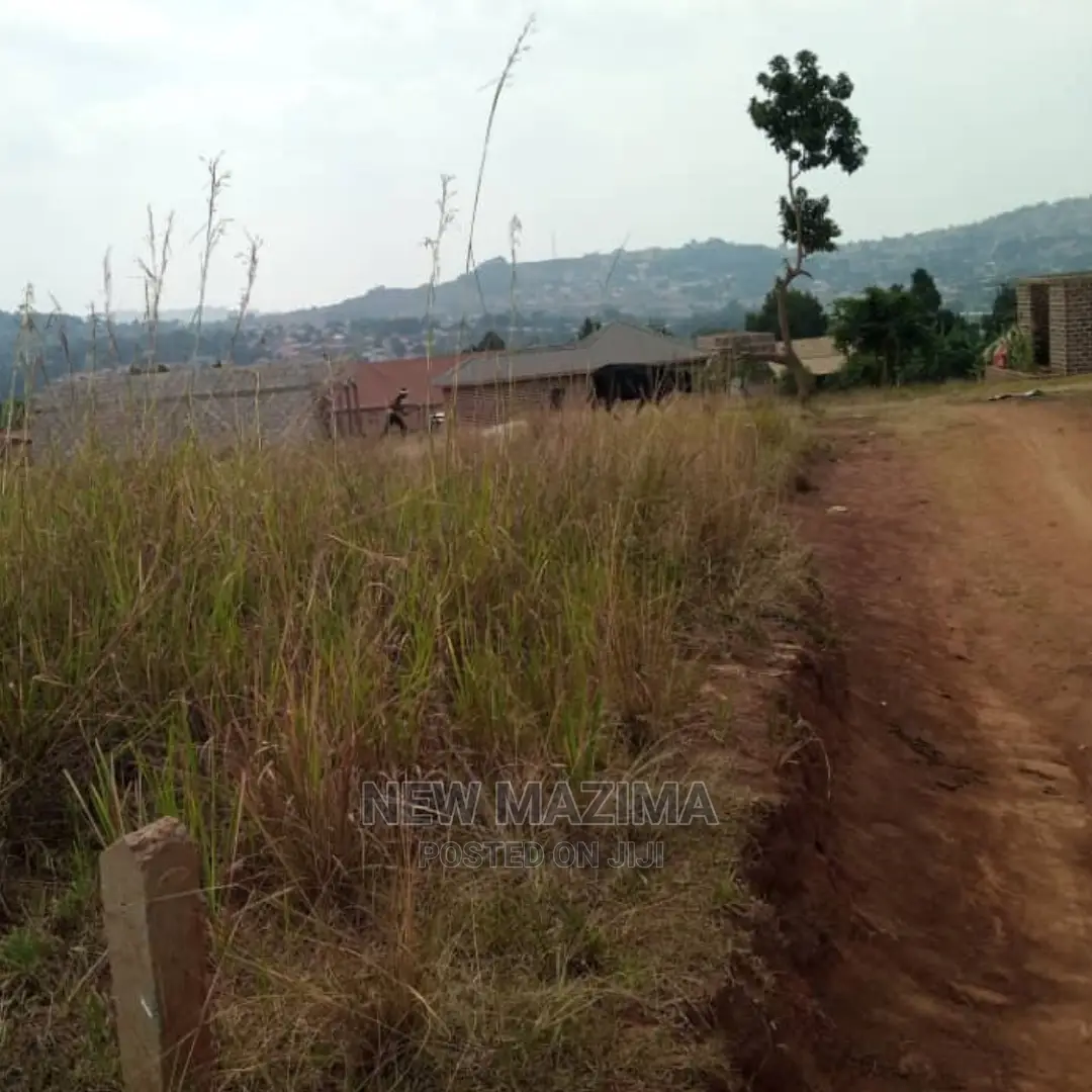 Very Affordable Plot Quicksale Just After Seguku in Kasenge