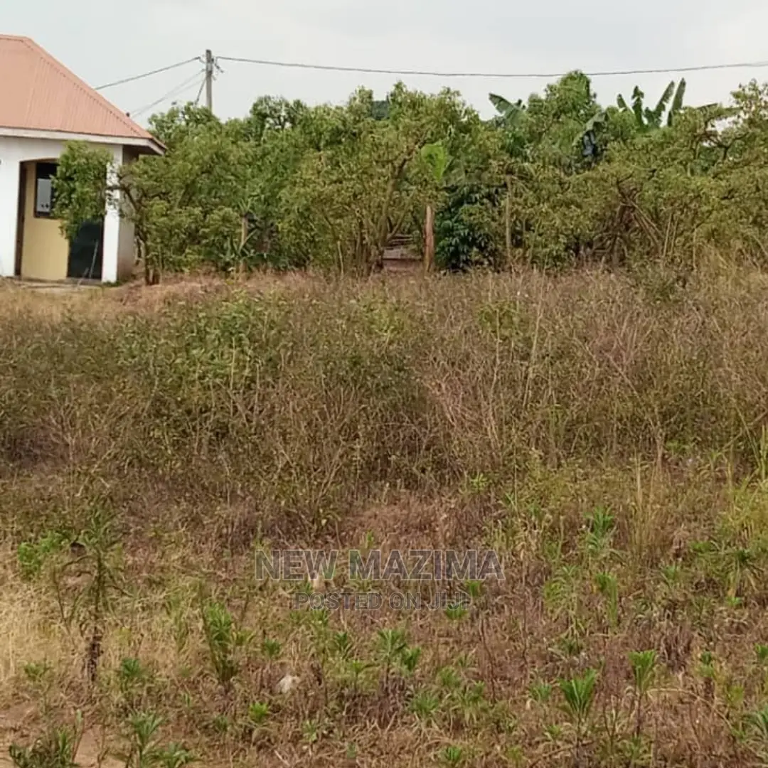 Very Affordable Plot Quicksale Just After Seguku in Kasenge