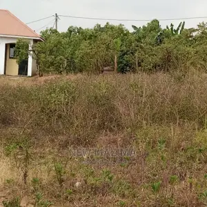 Very Affordable Plot Quicksale Just After Seguku in Kasenge