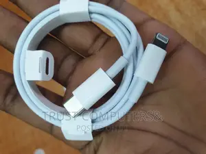 Apple Lightening (iPhone)- Type C Original Cable