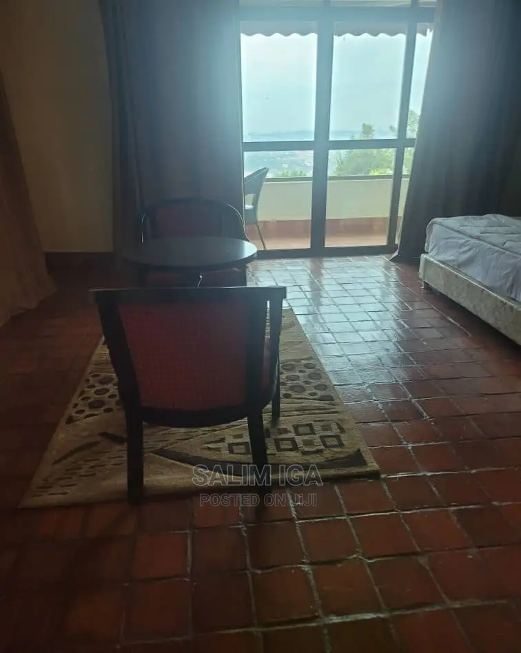 Furnished 1bdrm Block of Flats in Kololo Property, Nakawa for Rent